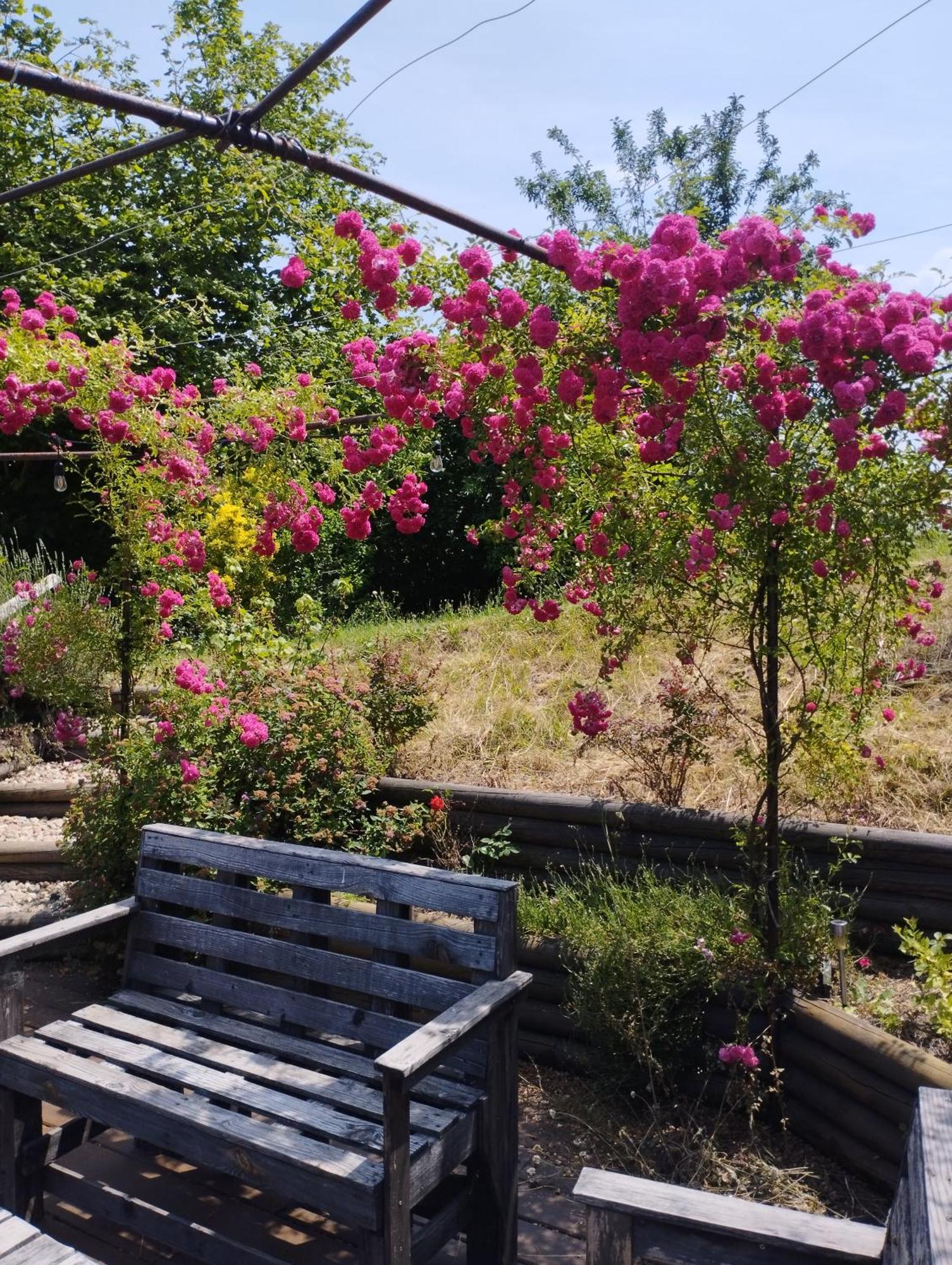 Fenetre Sur Loire Bed & Breakfast Iguerande ภายนอก รูปภาพ