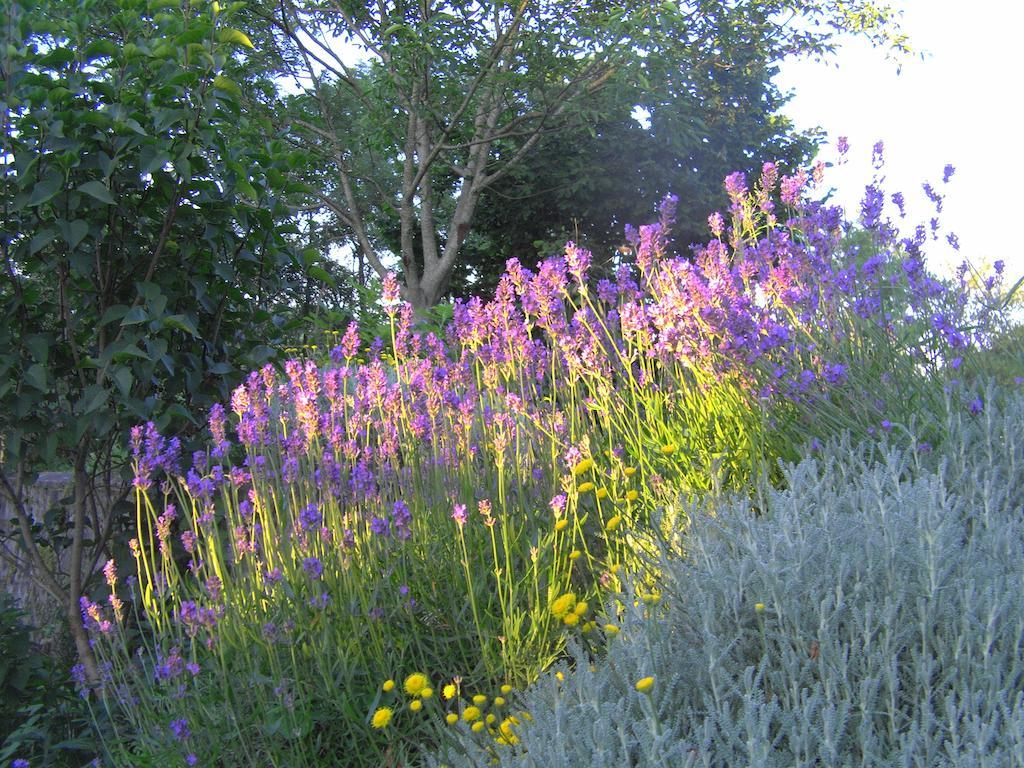 Fenetre Sur Loire Bed & Breakfast Iguerande ภายนอก รูปภาพ