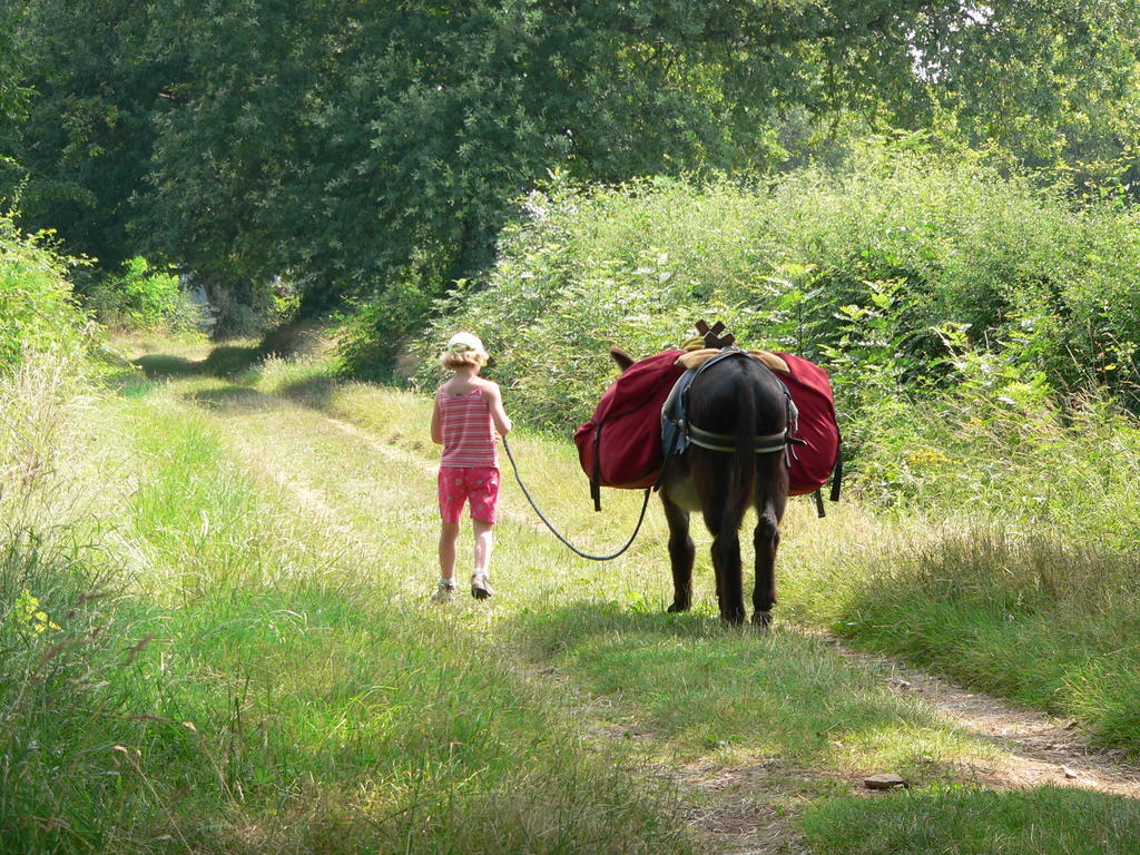 Fenetre Sur Loire Bed & Breakfast Iguerande ภายนอก รูปภาพ