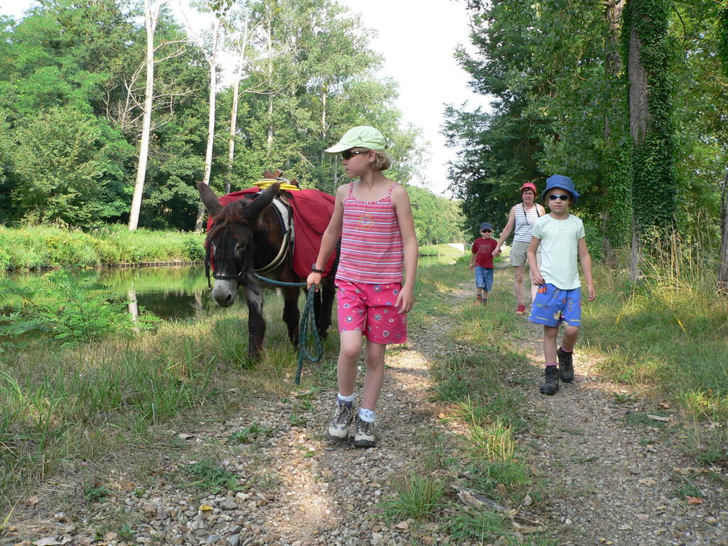 Fenetre Sur Loire Bed & Breakfast Iguerande ภายนอก รูปภาพ