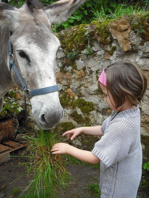 Fenetre Sur Loire Bed & Breakfast Iguerande ภายนอก รูปภาพ