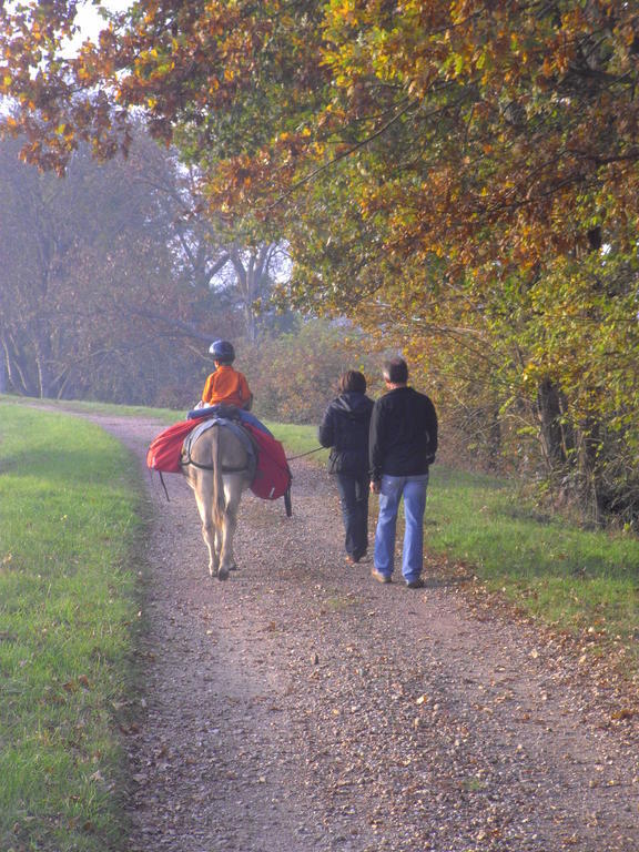 Fenetre Sur Loire Bed & Breakfast Iguerande ภายนอก รูปภาพ